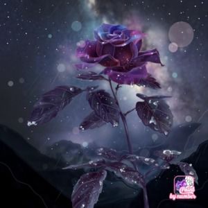 Meet your Posher, Misty